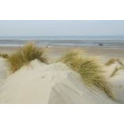 Foto von Sable D'or