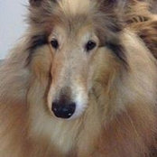 Karen Baldwin-Porter's photo