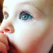 Wendy McGraw's photo