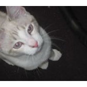 Kathy Brown's photo
