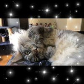 Mellissa Bain's photo