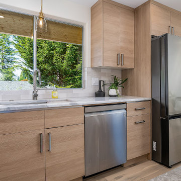 Edmonds Full House Remodel