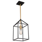 Artcraft - Twilight Chandelier  in Matte Black and Harvest Brass - The Twilight collection by Steven Sabados of S&C  features matte black cages with harvest brass interior fixture clusters. Single pendant shown&nbsp