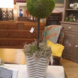 Topiaries - Indoor Pots And Planters