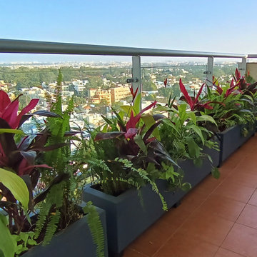 Asha and Nares's Home Gardens