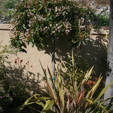 Rancho Bernardo