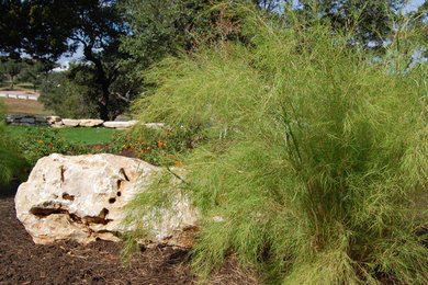 Design ideas for a traditional landscaping in Austin.