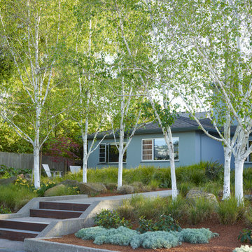 Oakland Hill Top HIdeaway Garden