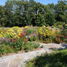 Pathways