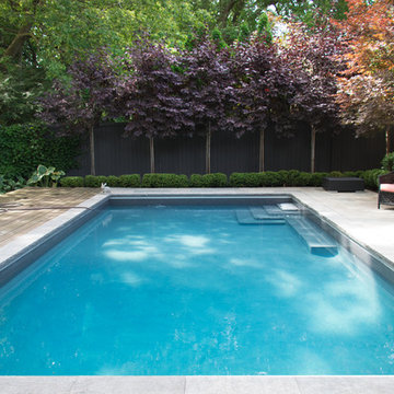 Rosedale Backyard