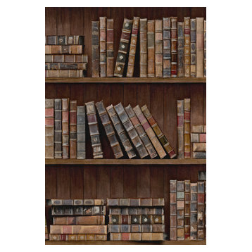 Book Shelves Non-Woven Wallpaper