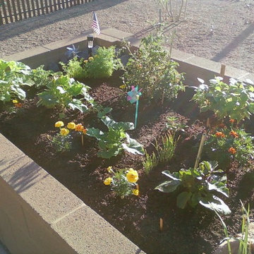 Concrete Block Raised Vegetable & Flower Garden