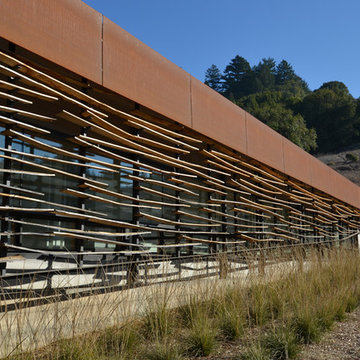 Nicasio Residence