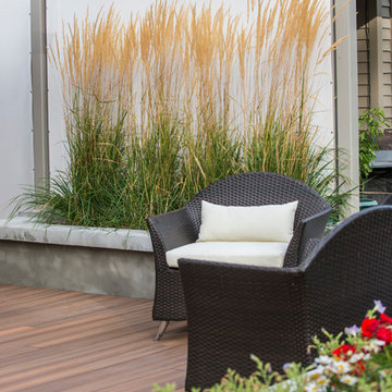 Green Belt Patio Remodel