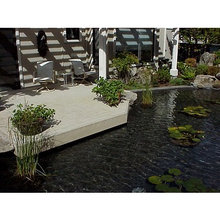 Water fountains/features
