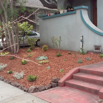 Planting, Drip & Bark in Oakland CA