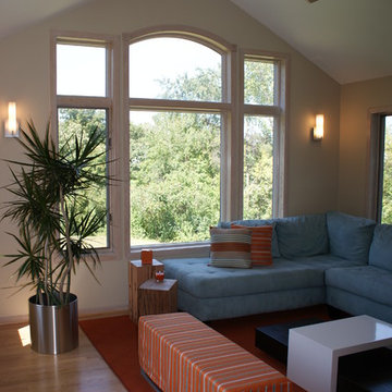 Mendota Heights Modern