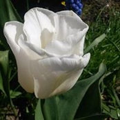 Zelah Delector's photo