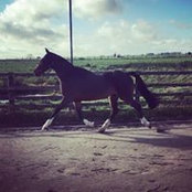 Beki Hunt's photo
