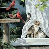 Kimberly Crownover's photo