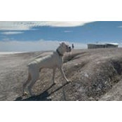 Brandon Gubachy's photo
