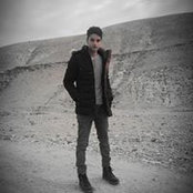 Mohammad Trish's photo