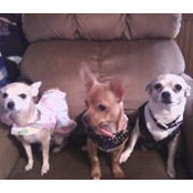 Brenda Goatcher's photo