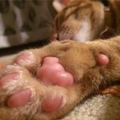 Keiko Fukuda's photo