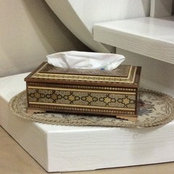 Maryam faraji's photo