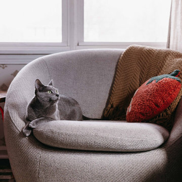Cozy Living Room