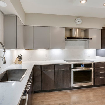 Contemporary Kitchen & Aquarium Design Falls Church, VA