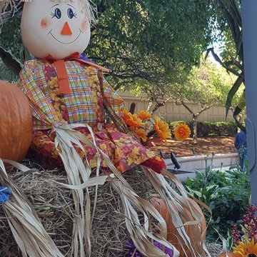 Fall Decor