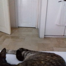 houzz
