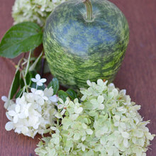 floral arrangements