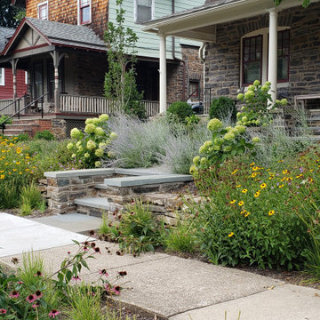 Perennials along sidewalk