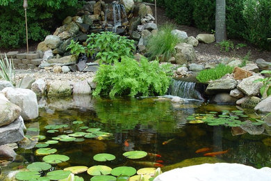 Inspiration for a landscaping in DC Metro.
