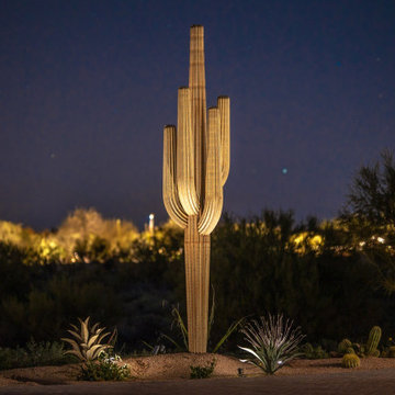 Saguaro