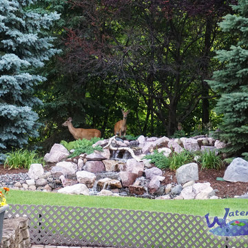 Water Feature - Pond