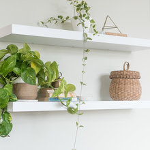 Shelving