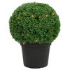 20" Pre-Lit Artificial Boxwood Ball Topiary in Round Pot Clear Lights