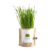 Garden in a Bag: Cat Grass
