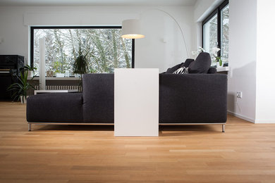 Modernes Wohnzimmer in Hannover
