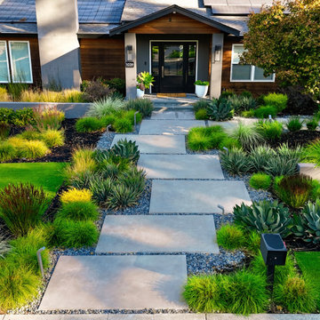 Alamo Modern Low Water Front Yard