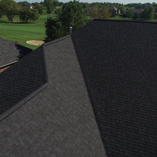 Roof Shingles