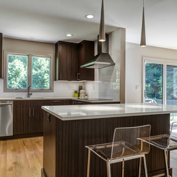 Mid Century Modern Kitchen