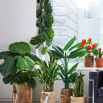 Serene Spaces Living 14" Paulownia Wood Pot