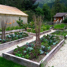 raised flower beds