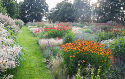 Dutch Garden Tour: Year-Round Enchantment in an Artistic Garden