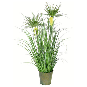 24" Green Cyperus Grass In Iron Pot