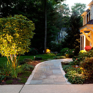Front Yard Renovation